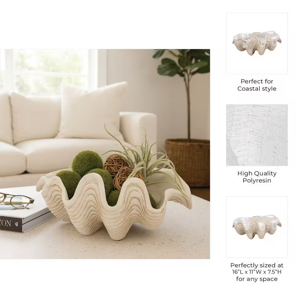 Ivory 16 In. X 11 In. Resin Coastal Pearlized Clam Shell Decorative Bowl