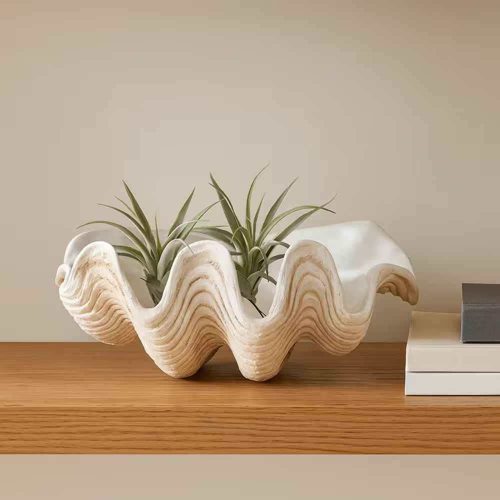 Ivory 16 In. X 11 In. Resin Coastal Pearlized Clam Shell Decorative Bowl